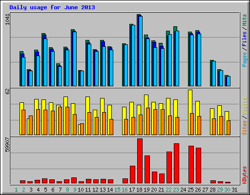 Daily usage for June 2013