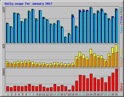 Daily usage for January 2017