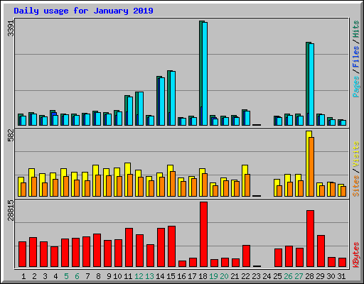 Daily usage for January 2019
