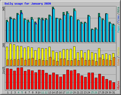 Daily usage for January 2020