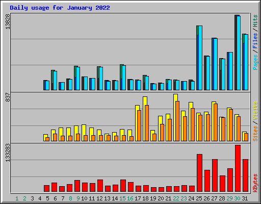 Daily usage for January 2022