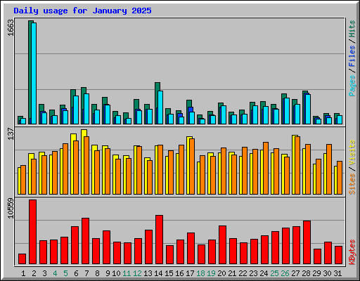 Daily usage for January 2025