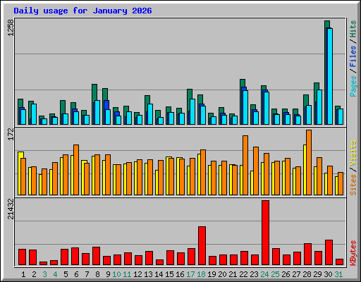 Daily usage for January 2026