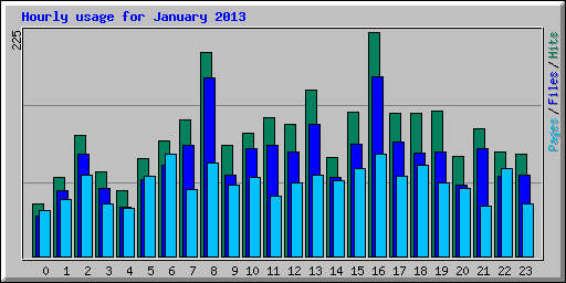 Hourly usage for January 2013