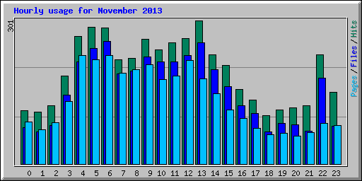 Hourly usage for November 2013