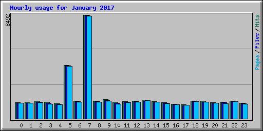 Hourly usage for January 2017