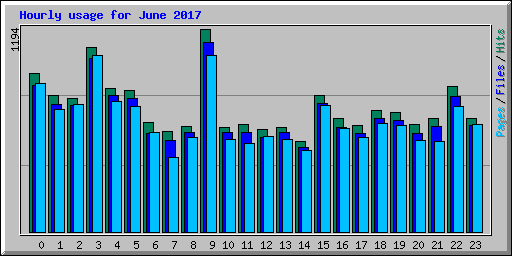 Hourly usage for June 2017