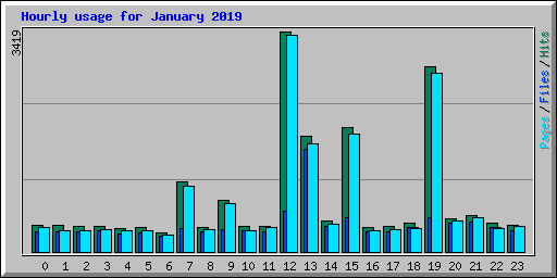 Hourly usage for January 2019