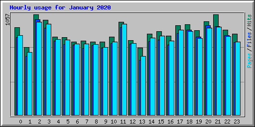 Hourly usage for January 2020