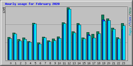 Hourly usage for February 2020