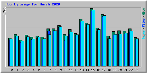 Hourly usage for March 2020