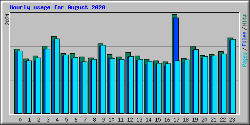 Hourly usage for August 2020