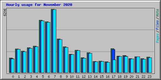 Hourly usage for November 2020