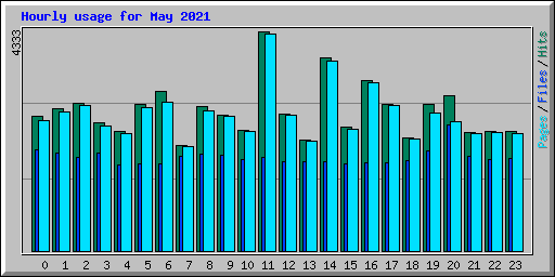 Hourly usage for May 2021