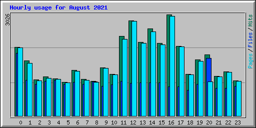 Hourly usage for August 2021