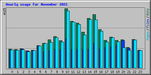 Hourly usage for November 2021