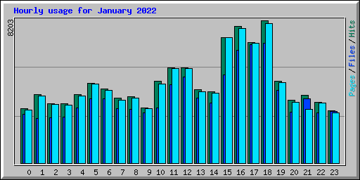 Hourly usage for January 2022
