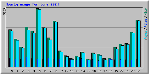 Hourly usage for June 2024