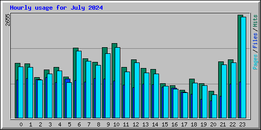 Hourly usage for July 2024