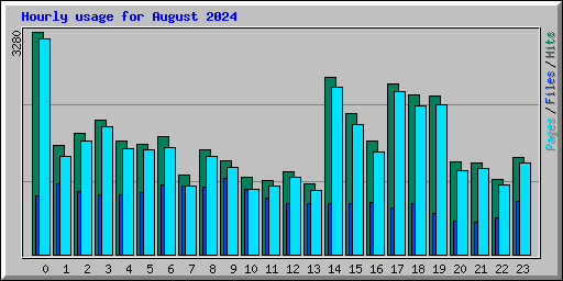 Hourly usage for August 2024