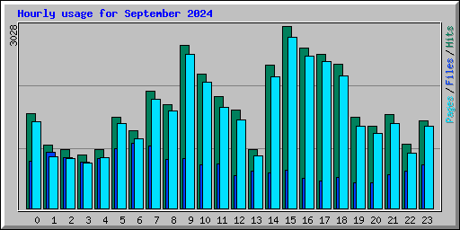 Hourly usage for September 2024