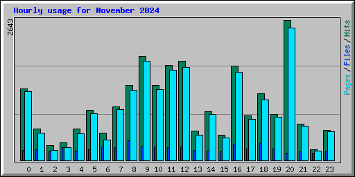 Hourly usage for November 2024