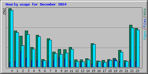 Hourly usage for December 2024