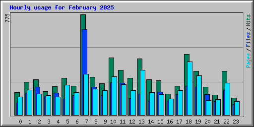 Hourly usage for February 2025