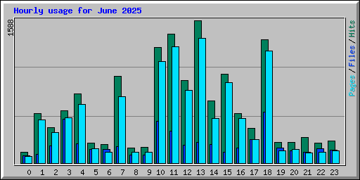 Hourly usage for June 2025