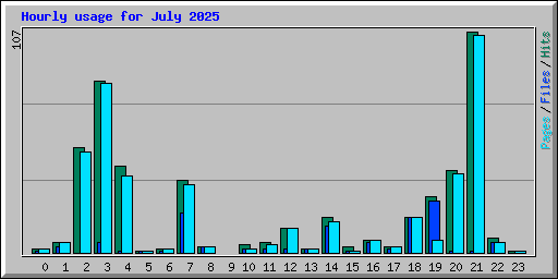 Hourly usage for July 2025