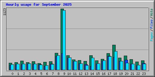 Hourly usage for September 2025