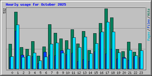 Hourly usage for October 2025