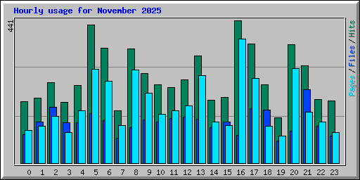 Hourly usage for November 2025