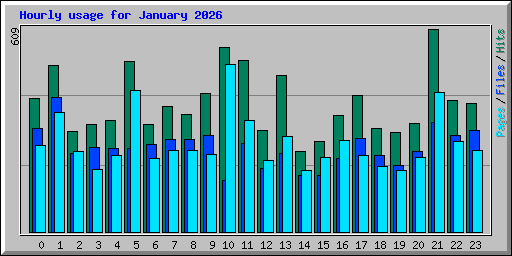 Hourly usage for January 2026