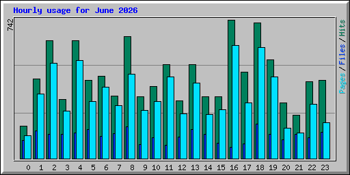 Hourly usage for June 2026